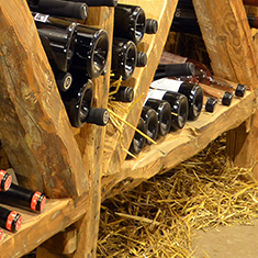 cellar